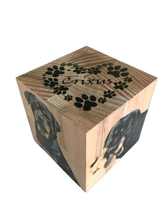 Wooden cubes